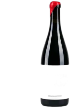 photo Porcellese Non Solus Vin Rouge Bio et Naturel de Corse Aop Patrimonio