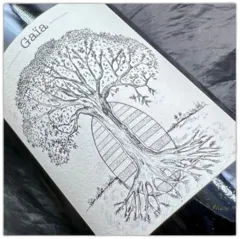 photo Loire Jerome Bretaudeau Domaine de Bellevue Muscadet Sevre-et-Maine Gaia Cuvee Ovoide 2019