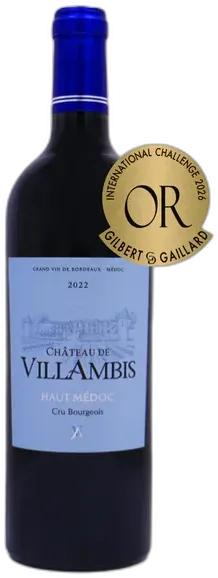 image du vin Magnum Château de Villambis