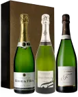 photo Degustation Champagnes de Petits Producteurs