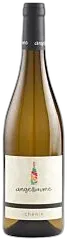 photo Aoc Chinon Coteaux de Sonnay