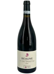 vue du vin Beaune Rouge 1er Cru "les Epennotes" 2021