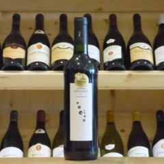 photo Saint-Chinian Domaine Deslines 2021
