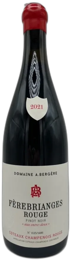 photo a Bergere Pinot Noir Ferebrianges 2021 Champagne France