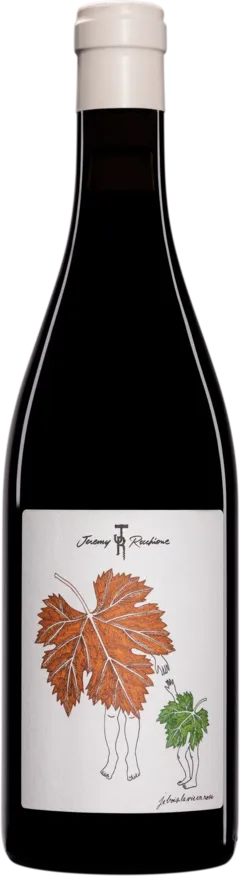 photo Maison Jeremy Recchione Coteaux Bourguignon 