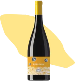 image du vin Borboyon- les Equilibristes