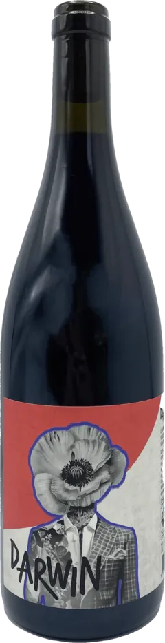 photo Darwin Cabernet Jura 2021 Wineimpact Vin de France Tarn) Rouge &