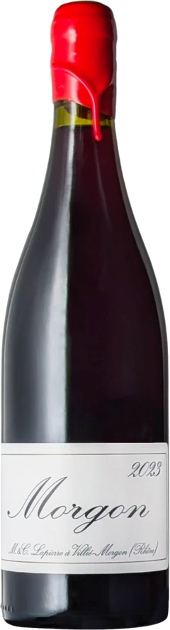 photo Morgon 2023 Vieilles Vignes