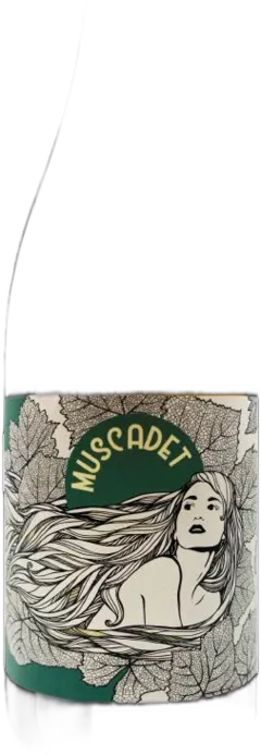 photo du vin la Muse Muscadet