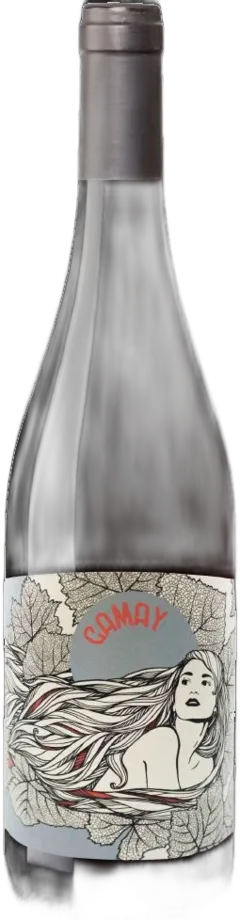 photo du vin la Muse Gamay