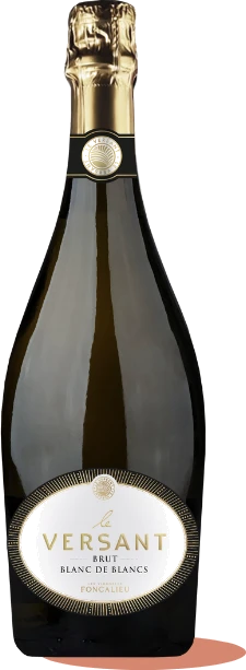 photo le Versant Blanc de Blancs