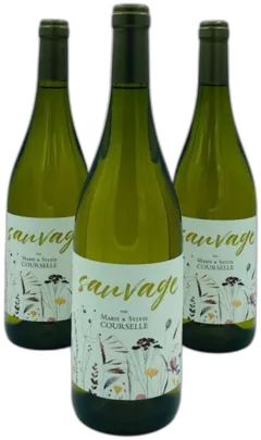 photo Sauvage de Thieuley Blanc 2023 Sauvignac Blanc