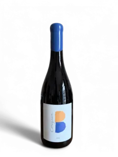 photo Clos des b Carignan 2023