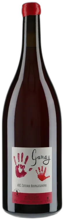 photo Coteaux Bourguignons Gamay