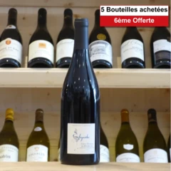 photo Saint Nicolas de Bourgueil Vignoble de la Jarnoterie Elégante 2022