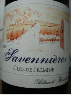 photo Savennieres le Clos Fremine de Thibaud Boudignon 2023