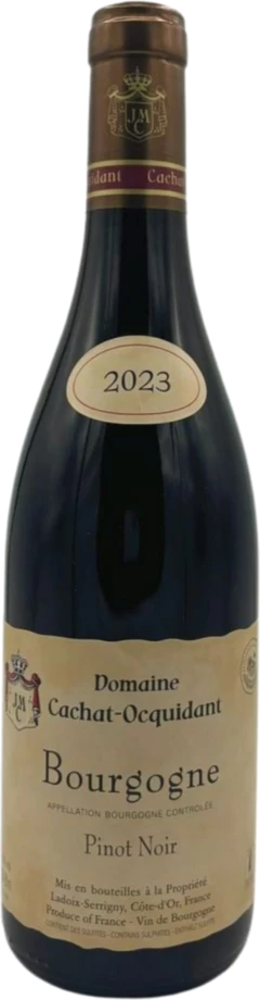 photo Bourgogne Pinot Noir 2023