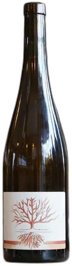 vue du vin Paradoxe Domaine Einhart