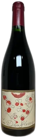 photo Château de Coulaine Chinon la Diablesse 2001