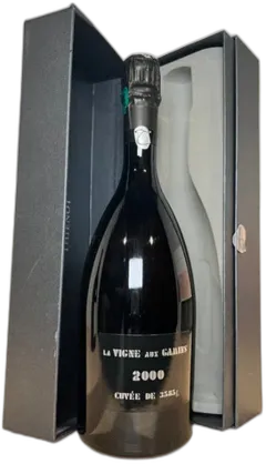 photo Champagne Thienot la Vigne Aux Gamins Blanc de Blancs 2000
