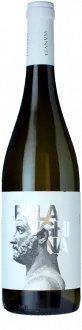 photo Favugnë Falanghina Bianco 2024 Cantine Teanum