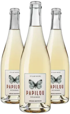 image du vin Papilou Vin pã©Tillant Naturel Bio Lot