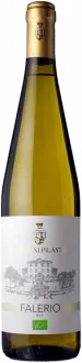 photo du vin Falerio 2024 Saladini Pilastri
