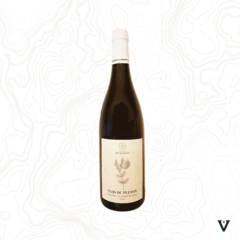 photo Domaine des Myosotis Clos du Plessis 2022