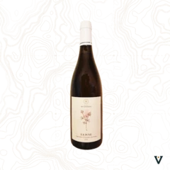 photo Domaine des Myosotis la Fuye 2022