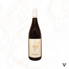 photo Domaine des Myosotis Maceration 2022