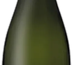 illustration du vin Dosaggio Zero Camossi