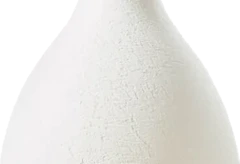 photo Champagne Brut Blanc de Blancs ''Second Skin'' Ruinart