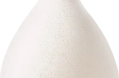 photo Champagne Brut Blanc de Blancs ''Second Skin'' Magnum Ruinart