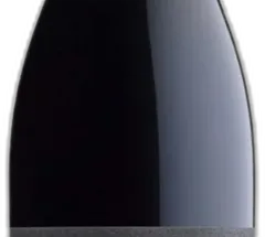 photo Trentino Pinot Nero Doc 2022 Bottega Vinai