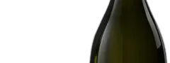 photo Champagne Brut Vintage 2015 Dom Pérignon