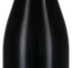 photo Patagonia Pinot Noir “Sin Azufre” 2021 Bodega Chacra
