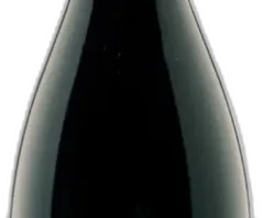 photo Trentino Pinot Nero Doc 'Vigna Cantanghel' 2022 Maso Cantanghel