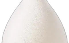 photo Champagne Brut Rosé 'Second Skin' Magnum Ruinart
