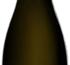 photo Champagne Extra Brut Avize Grand Cru 'Champ Caïn' 2013 Jacquesson