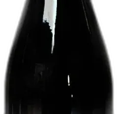 photo Morgon 2021 Domaine Joseph Chamonard