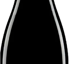 photo Franciacorta Blanc de Blancs Brut Nature Docg 'Costellazione Del Capricorno' Cavalleri