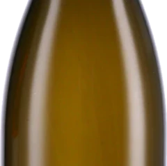 photo Santenay Village Blanc 2021 Domaine Bertrand Bachelet