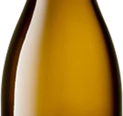 photo Santenay 'Vielles Vignes' 2021 Domaine Guy Amiot et Fils