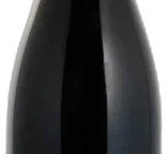 photo Saumur-Champigny 'Vieilles Vignes' 2022 Domaine des Sanzay