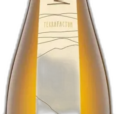 vue du vin Riesling Seeberg