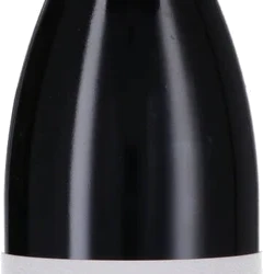 photo Gevrey-Chambertin Aoc 2023 Arnaud Baillot