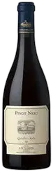 photo Umbria Pinot Nero Igt 2022 Castello Della Sala
