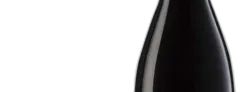 aperçu du vin Pinot Noir Riserva 'Trattmann Mazon' 2022