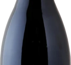 photo Saumur-Champigny 'Beauregard' 2022 Domaine des Sanzay