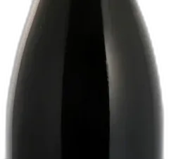 photo Saumur-Champigny 'les Poyeux' 2023 Domaine des Sanzay